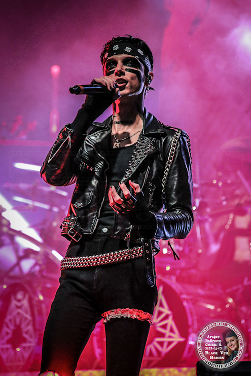 BVB12