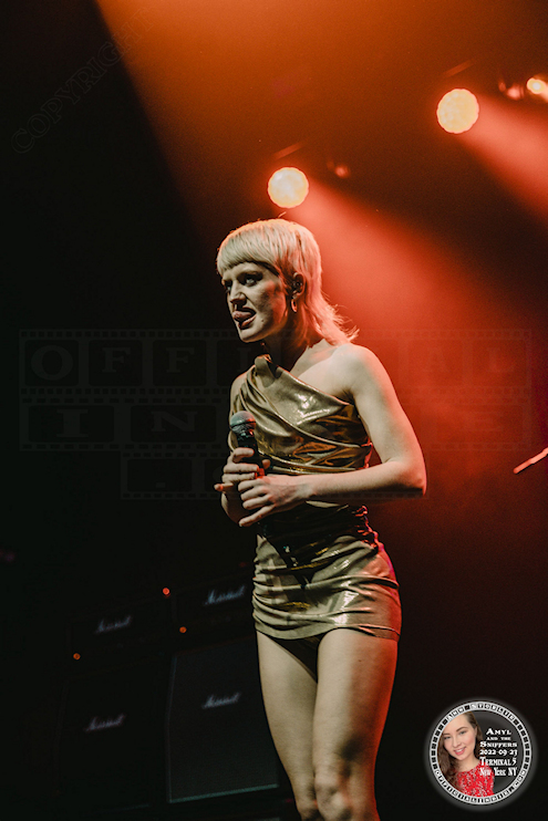amyl01