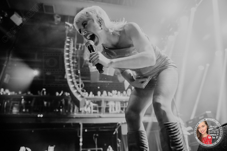 amyl44
