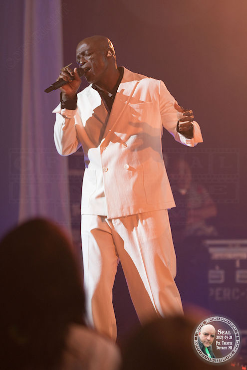 seal20