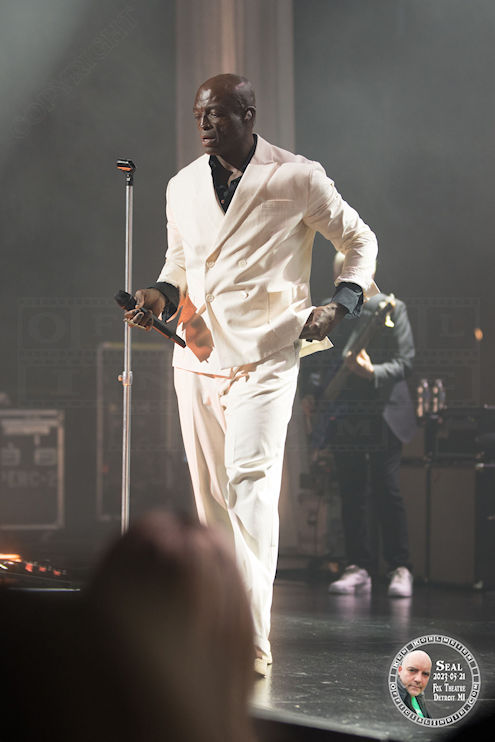 seal41