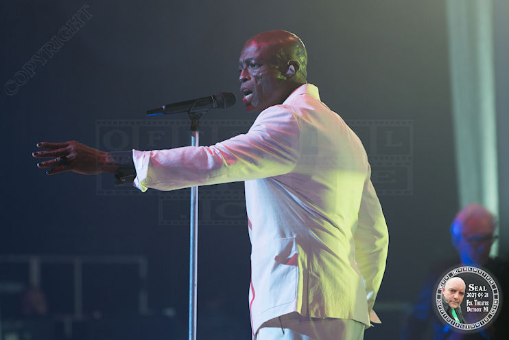 seal50