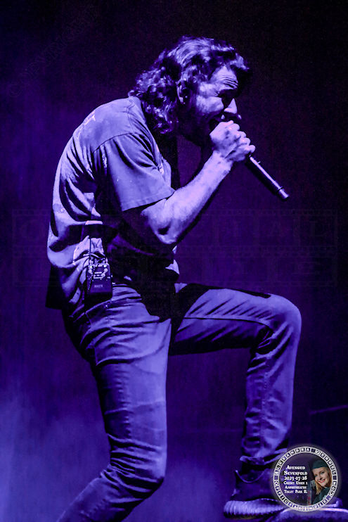 avenged24