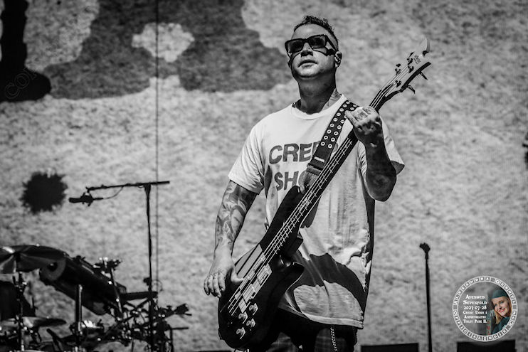 avenged36