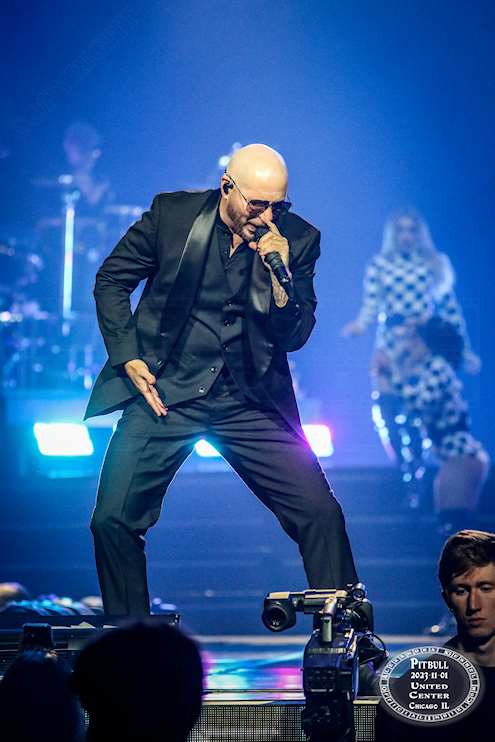 pitbull-03