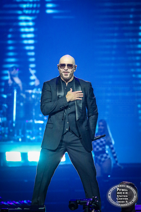 pitbull-04