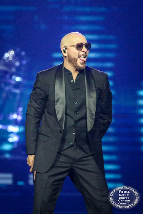 pitbull-05