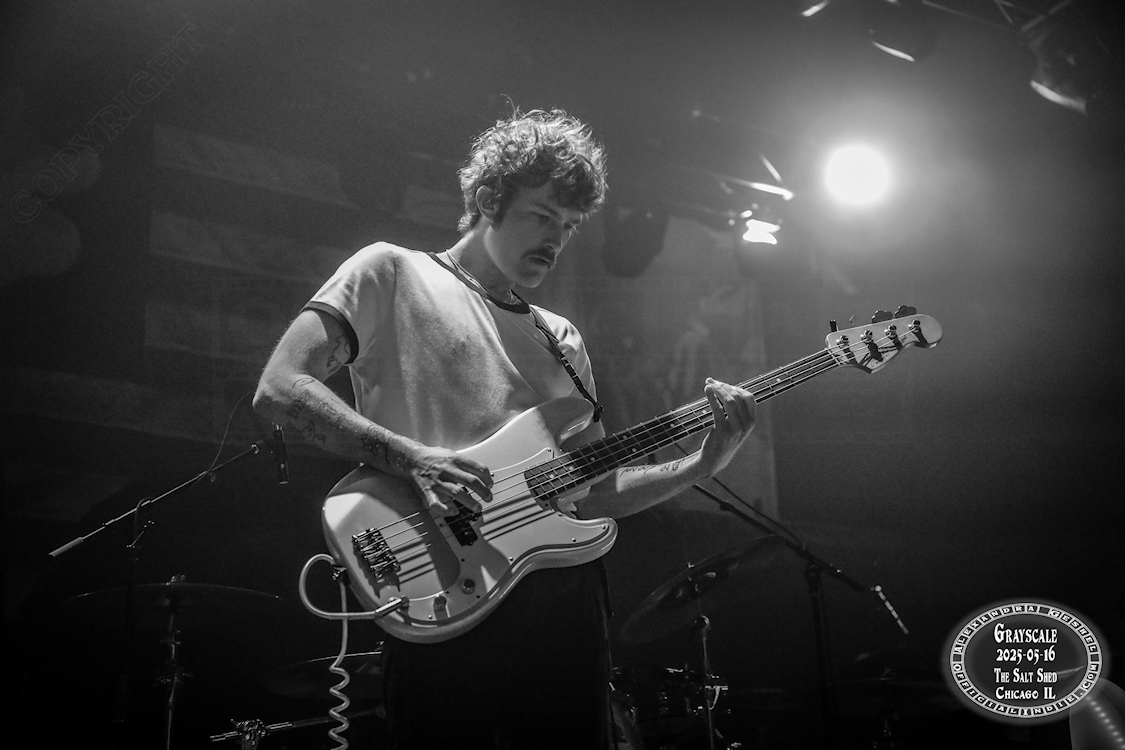 grayscale-20